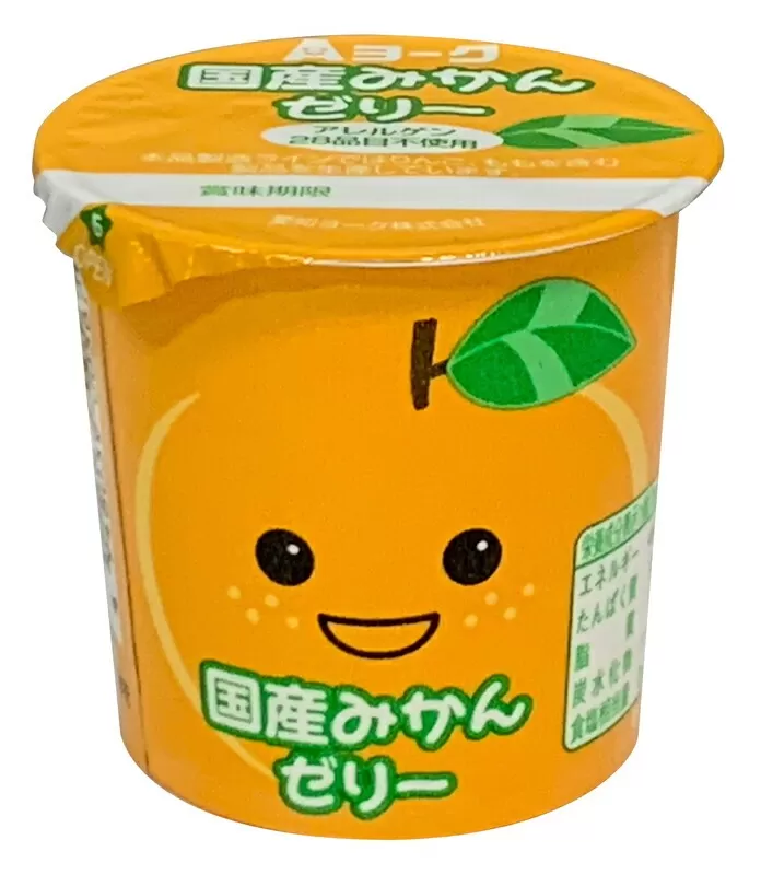 【6ヶ月定期便】愛知ヨーク　国産みかんゼリー　20個入［108A04-T］