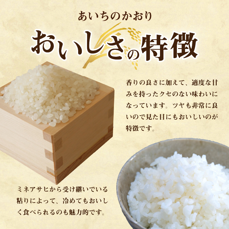 あいちのかおり お米 10kg 白米 送料無料 5kg×2袋 愛知県産 令和