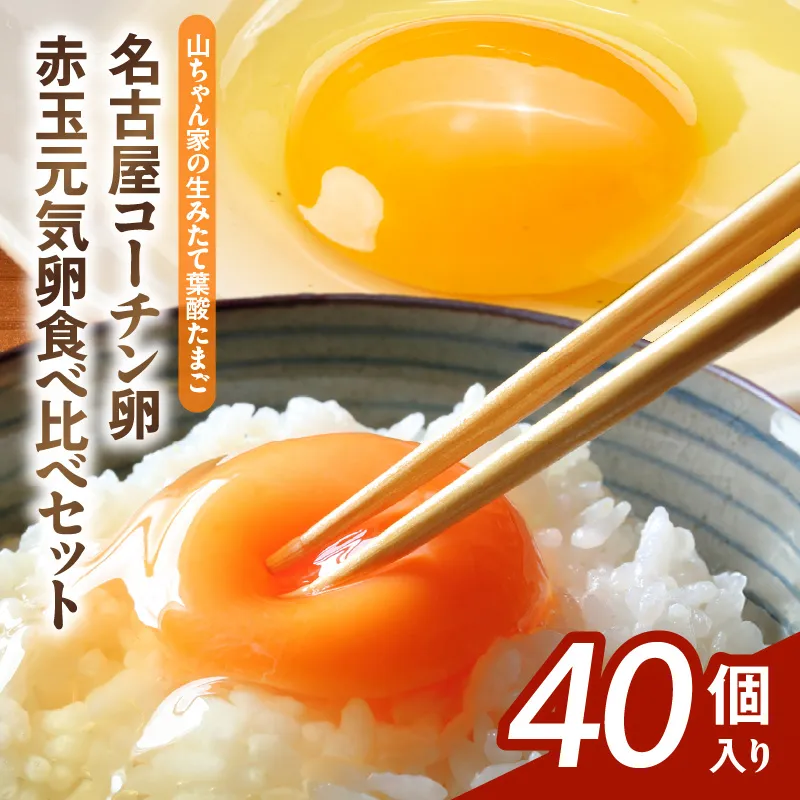 【山ちゃん家の生みたて葉酸たまご】名古屋コーチン卵・赤玉元気卵 食べ比べセット（各20個 合計40個入り）［132Y10］山ちゃん家 生みたて 葉酸たまご 名古屋コーチン卵 赤玉元気卵 食べ比べ セット 各 20個 合計 40個 入り 地鶏 卵 朝食 卵焼き 目玉焼き オムライス ゆでたまご 山田養鶏 お取り寄せ 愛知県 小牧市 送料無料