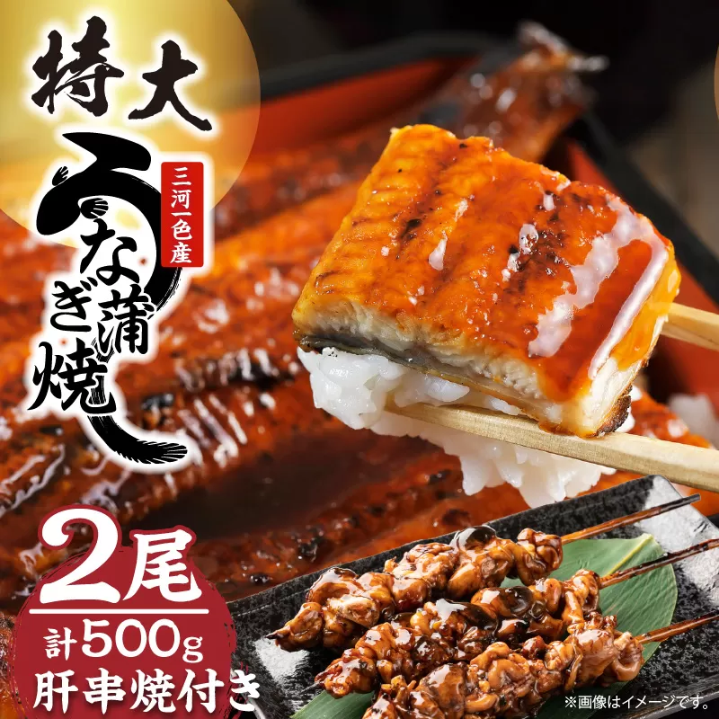 【土用の丑の日対応　一の丑7/6（日）入金まで二の丑7/21（月）入金まで】三河一色産　最高級うなぎセット 特大2尾（蒲焼2尾）計500g（冷蔵配送）（2331）