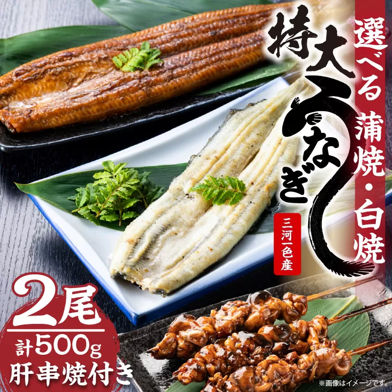 【土用の丑の日対応　一の丑7/6（日）入金まで二の丑7/21（月）入金まで】三河一色産　最高級うなぎセット 特大2尾（蒲焼・白焼各1尾）計500g（冷蔵配送）
