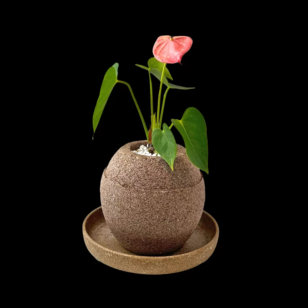 アクアプラントポット®　玉Ｓ 植木鉢　アンスリウム（2087）