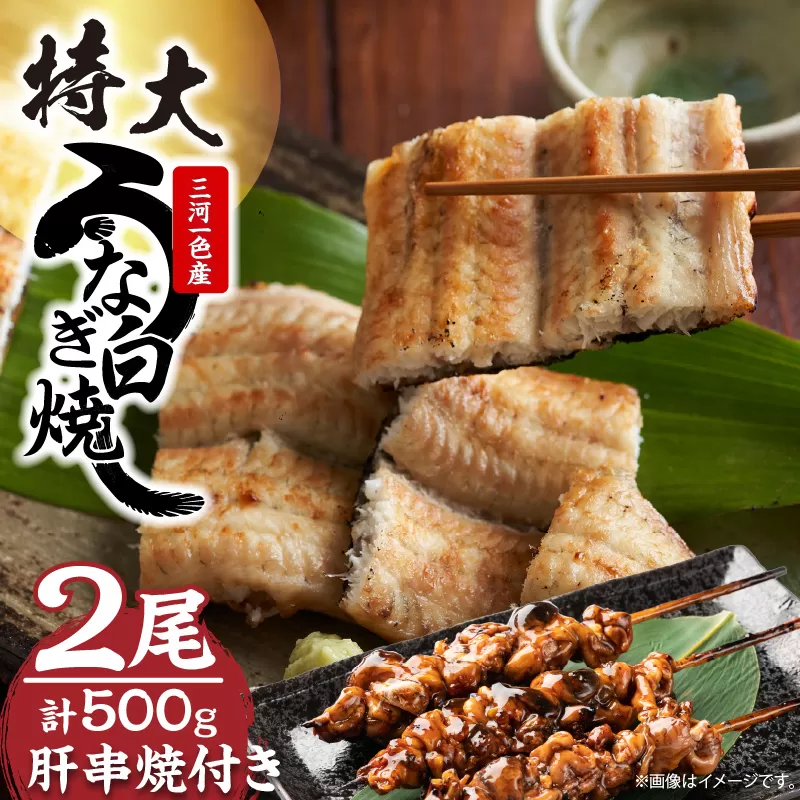 【土用の丑の日対応　一の丑7/6（日）入金まで二の丑7/21（月）入金まで】三河一色産　最高級うなぎセット 特大2尾（白焼2尾）計500g（冷蔵配送）（2332）