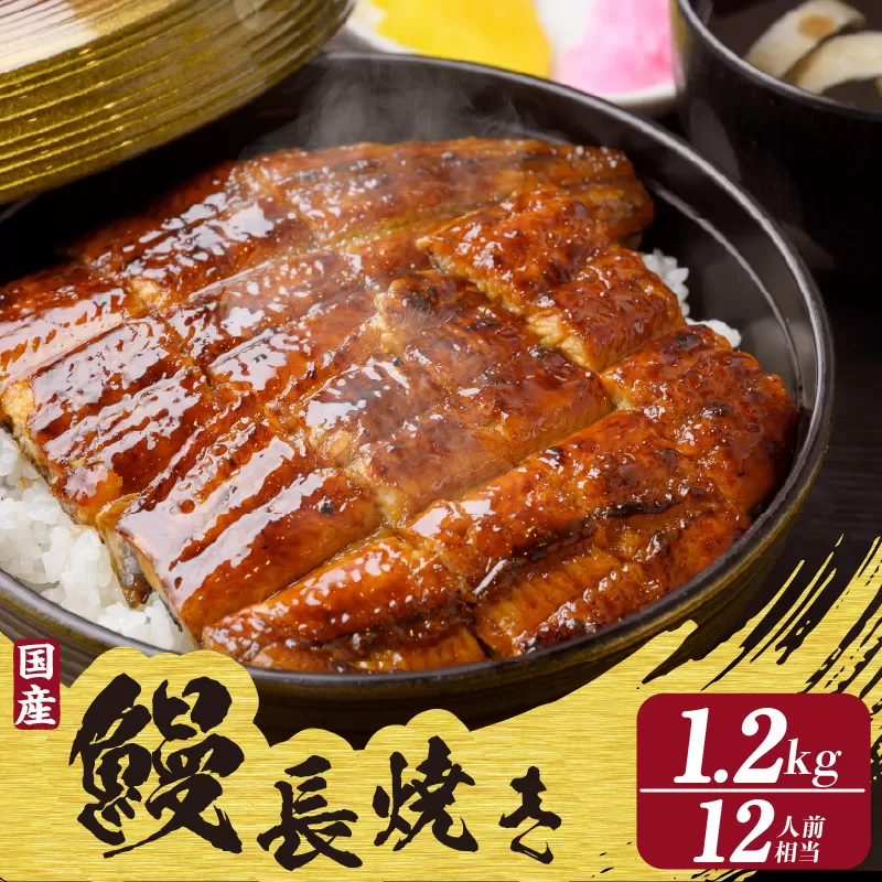 【土用の丑の日対応　一の丑7/3（木）入金まで二の丑7/17（木）入金まで】国産特大うなぎ長焼き６尾(約２００ｇ)　合計約１，２００ｇ（2327）