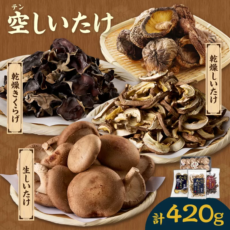 [№22-0022]空（テン）しいたけ