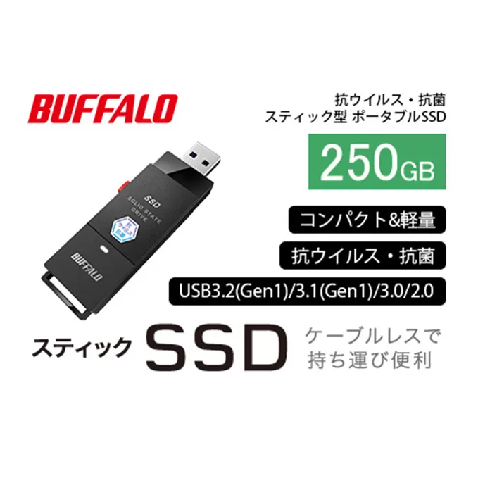 BUFFALO バッファロー スティック型 SSD 250GB 抗ウイルス・抗菌 テレビ 録画 USB 電化製品 家電 パソコン PC周辺機器 パソコン周辺機器