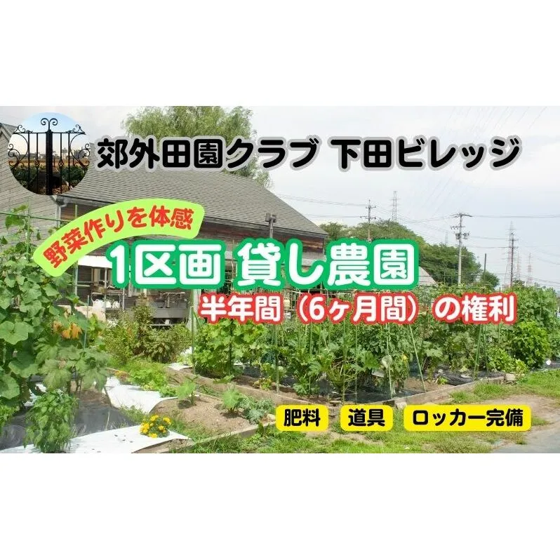 下田ビレッジ農園 半年間（6ヶ月間） ご利用券 体験チケット 愛知県 貸し農園 肥料完備 道具完備 ロッカー完備 野菜作り 畑 貸農園チケット レンタル レンタルファーム 