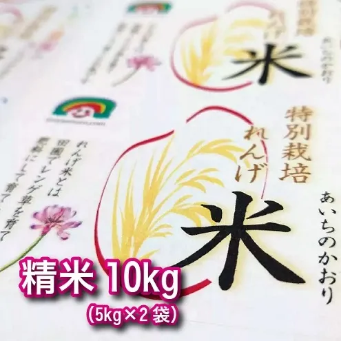 特別栽培れんげ米 日進市産 あいちのかおり 10kg ( 5kg × 2袋 ) 米 白米 精米 特別栽培米 コメ お米 おこめ 愛知 愛知県 日進市