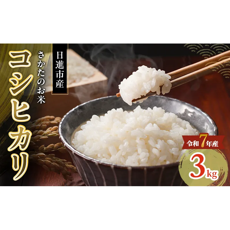 令和7年度産 コシヒカリ さかたのお米 日進市産 3kg お米 白米 ライス 精米 ご飯 おにぎり お弁当 和食 もっちり 粘り 強い 甘み 旨み