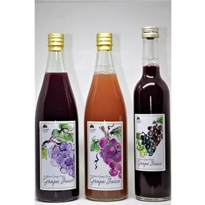 ジュース ぶどう農家浅桑園のこだわり ぶどうジュース セット 巨峰 クイーンニーナ 飲み比べ ドリンク ブドウ ぶどう 果物 フルーツ フルーツジュース 飲み比べセット 果汁ジュース 贈答 詰め合わせ ギフト 贈り物 プレゼント 愛知 愛知県 日進市