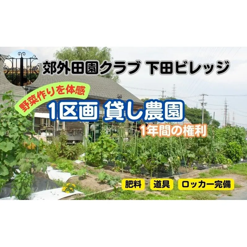 下田ビレッジ農園1年ご利用券 体験チケット チケット 