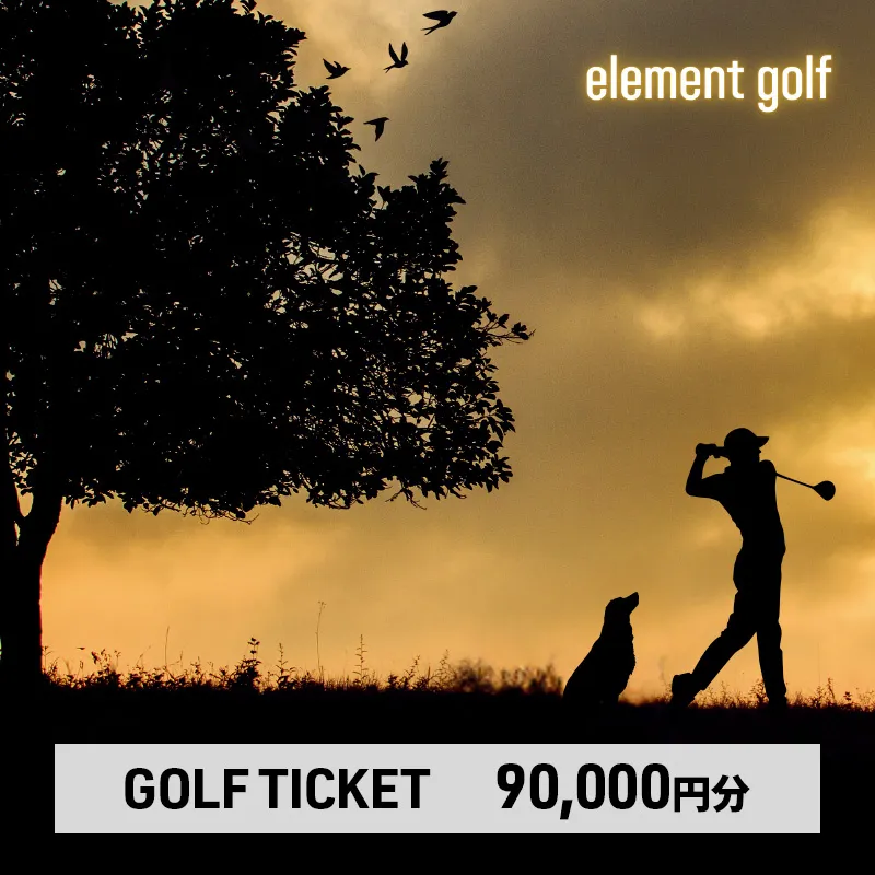 【90,000円分】 elementgolf ゴルフチケット (ゴルフクラブ作成、修理・調整、フィッティング) エレメントゴルフ × 名古屋外国語大学コラボデザインチケット ゴルフ ゴルフクラブ 愛知 日進市