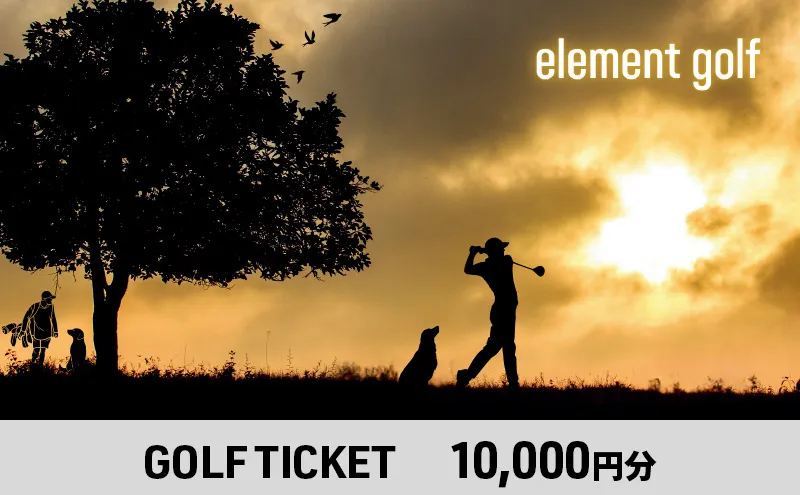 【10,000円分】 elementgolf ゴルフチケット (ゴルフクラブ作成、修理・調整、フィッティング) エレメントゴルフ × 名古屋外国語大学コラボデザインチケット ゴルフ ゴルフクラブ 愛知 日進市