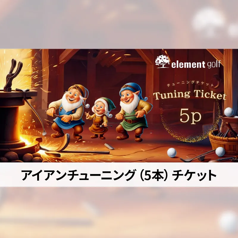elementgolf アイアン チューニング チケット (5本) エレメントゴルフ × 名古屋外国語大学コラボデザインチケット ゴルフ アイアン ゴルフクラブ 調整 愛知 日進市