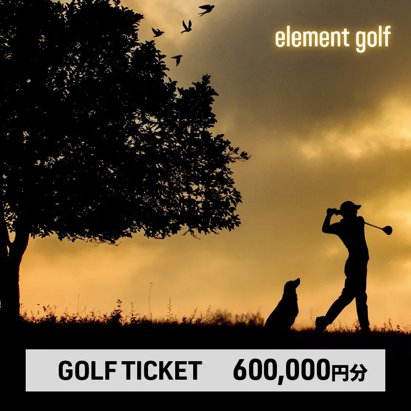 【600,000円分】 elementgolf ゴルフチケット (ゴルフクラブ作成、修理・調整、フィッティング) エレメントゴルフ × 名古屋外国語大学コラボデザインチケット ゴルフ ゴルフクラブ 愛知 日進市