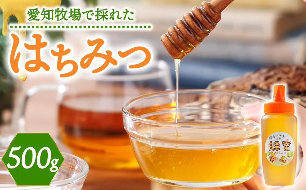 はちみつ 500g 百花はちみつ 純粋 純粋はちみつ 純はちみつ 国産はちみつ 非加熱はちみつ 非加熱蜂蜜 非加熱 国産 ハチミツ 蜂蜜 ハニー 愛知牧場 愛知 愛知県 日進市