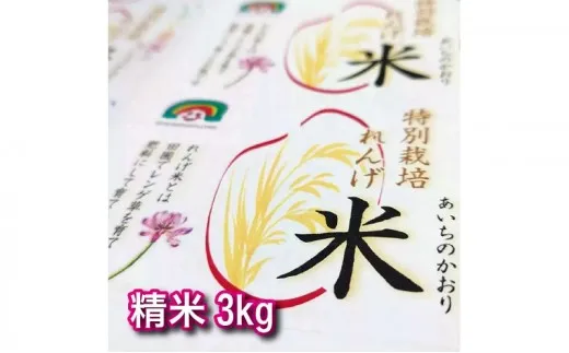 特別栽培れんげ米 日進市産 あいちのかおり 3kg × 1袋 米 白米 精米 特別栽培米 コメ お米 おこめ 愛知 愛知県 日進市