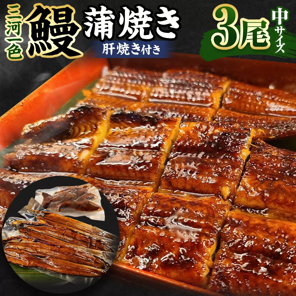 三河一色産 うなぎ蒲焼き 中3尾 うなぎ 鰻 かば焼き タレ付き セット 簡単調理 冷凍