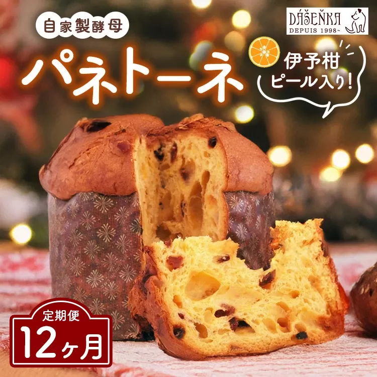 【12ヶ月定期便】自家製酵母使用のパネトーネ！！ 1個入り ｜ お菓子 おやつ
