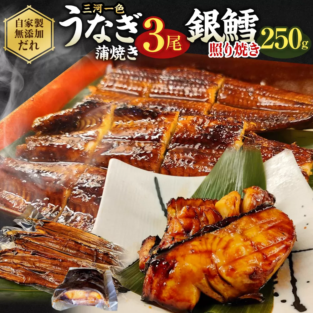 三河一色産 うなぎ蒲焼き 中3尾 + 銀たら 照り焼き 250g 鰻 かば焼き 銀鱈 タラ タレ付き 簡単調理 冷凍