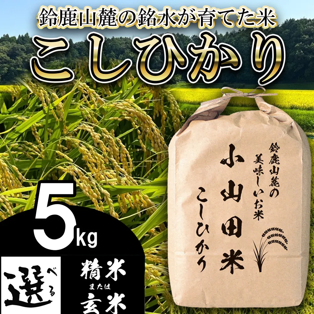 【令和8年産】新米 こしひかり(玄米)5kg 鈴鹿山麓の銘水が育てた米 l 米どころ 三重県産 小山田地区 小山田米 米 コメ 白米 精米