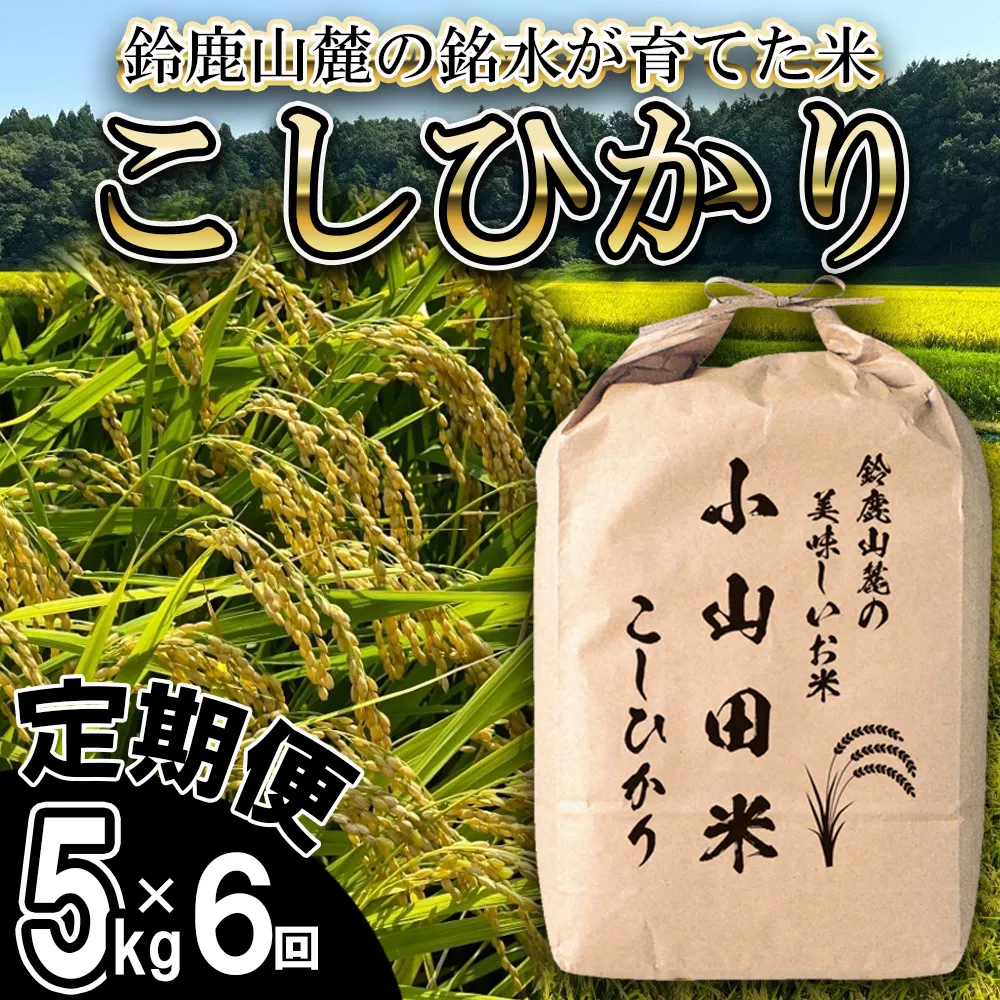 <定期便>【令和8年度】新米 こしひかり(精米)5kg【6ヶ月】鈴鹿山麓の銘水が育てた米l 米どころ 三重県産 小山田地区 小山田米 米 コメ 白米 精米