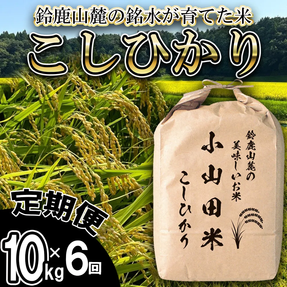 <定期便>【令和8年度】新米 こしひかり(精米)10kg【6ヶ月】鈴鹿山麓の銘水が育てた米l 米どころ 三重県産 小山田地区 小山田米 米 コメ 白米 精米