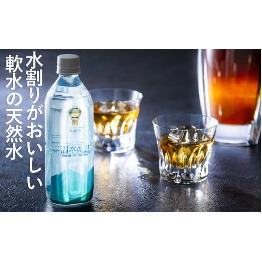 プレミアム天然水 鈴鹿山麓の銘水 泗水（しすい）の里 おいしい水 おいしい 軟水 水割り 48本 2ケース モンドセレクション 最高金賞