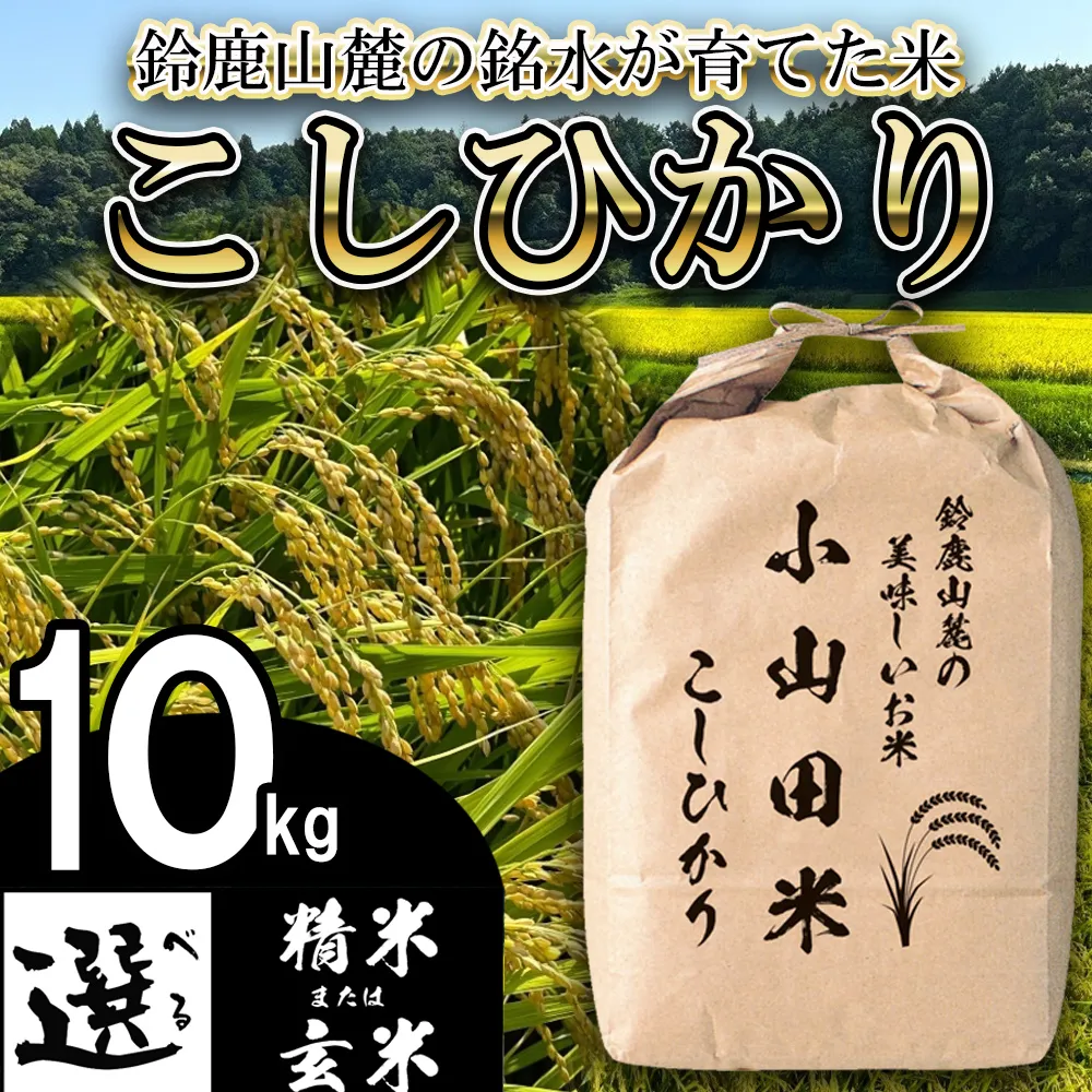 【令和８年産】新米 こしひかり（精米）10kg 鈴鹿山麓の銘水が育てた米 l 米どころ 三重県産 小山田地区 小山田米 米 コメ 白米 精米