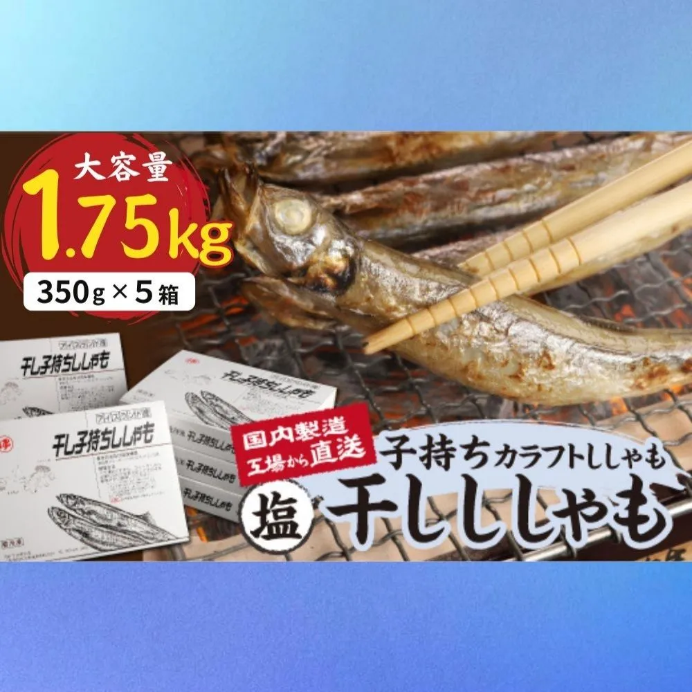 国内加工 塩ししゃも 5箱セット