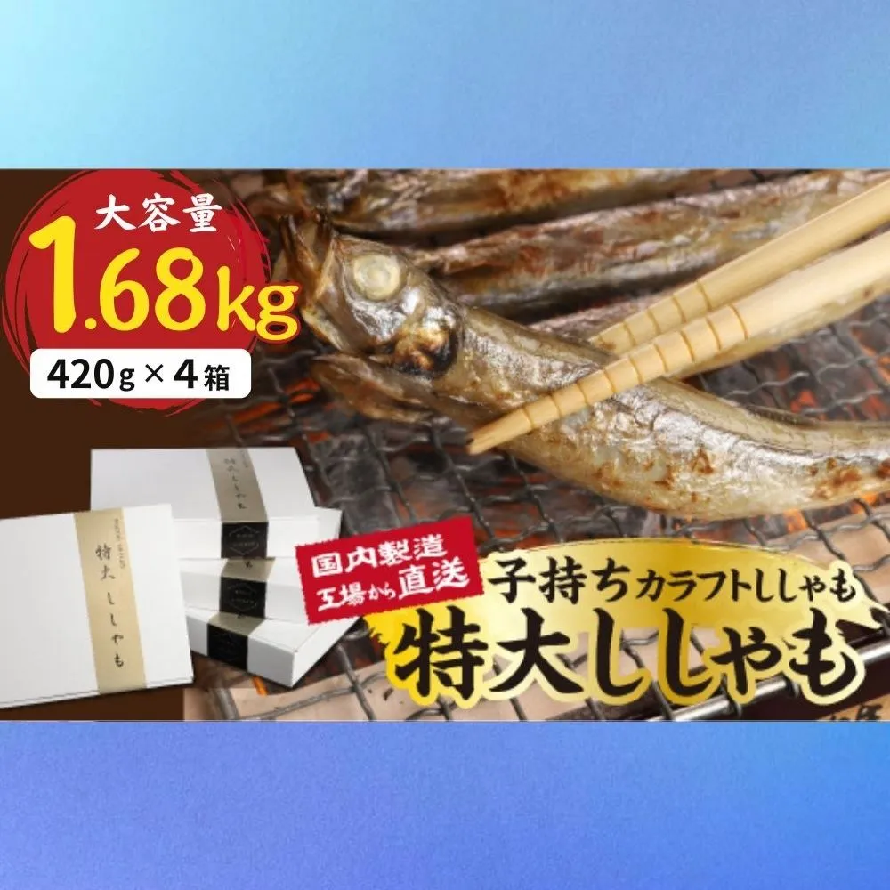国内加工 特大ししゃも 4箱セット