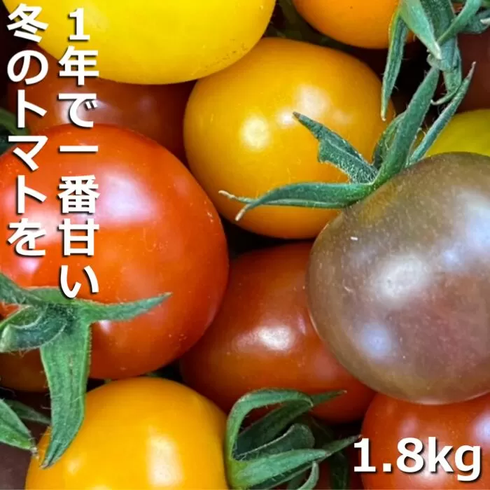 鈴鹿山麓トマト「カラフルミニトマト」箱詰め（1.8kg入り）