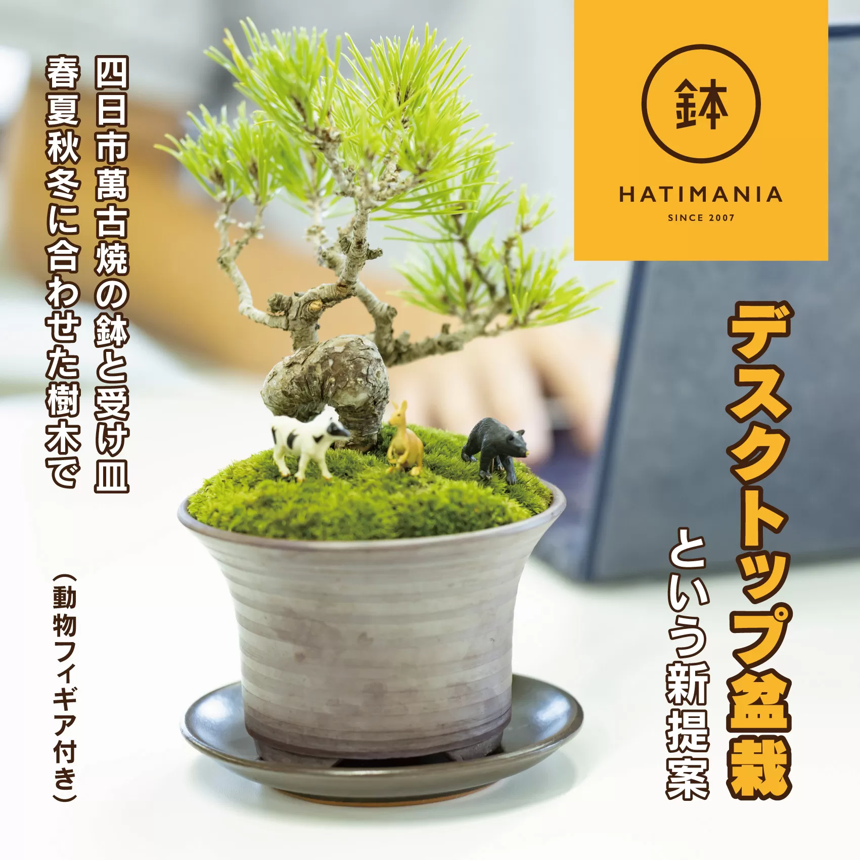 「デスクトップ盆栽」という新提案を四日市から（ミニチュアあり）
