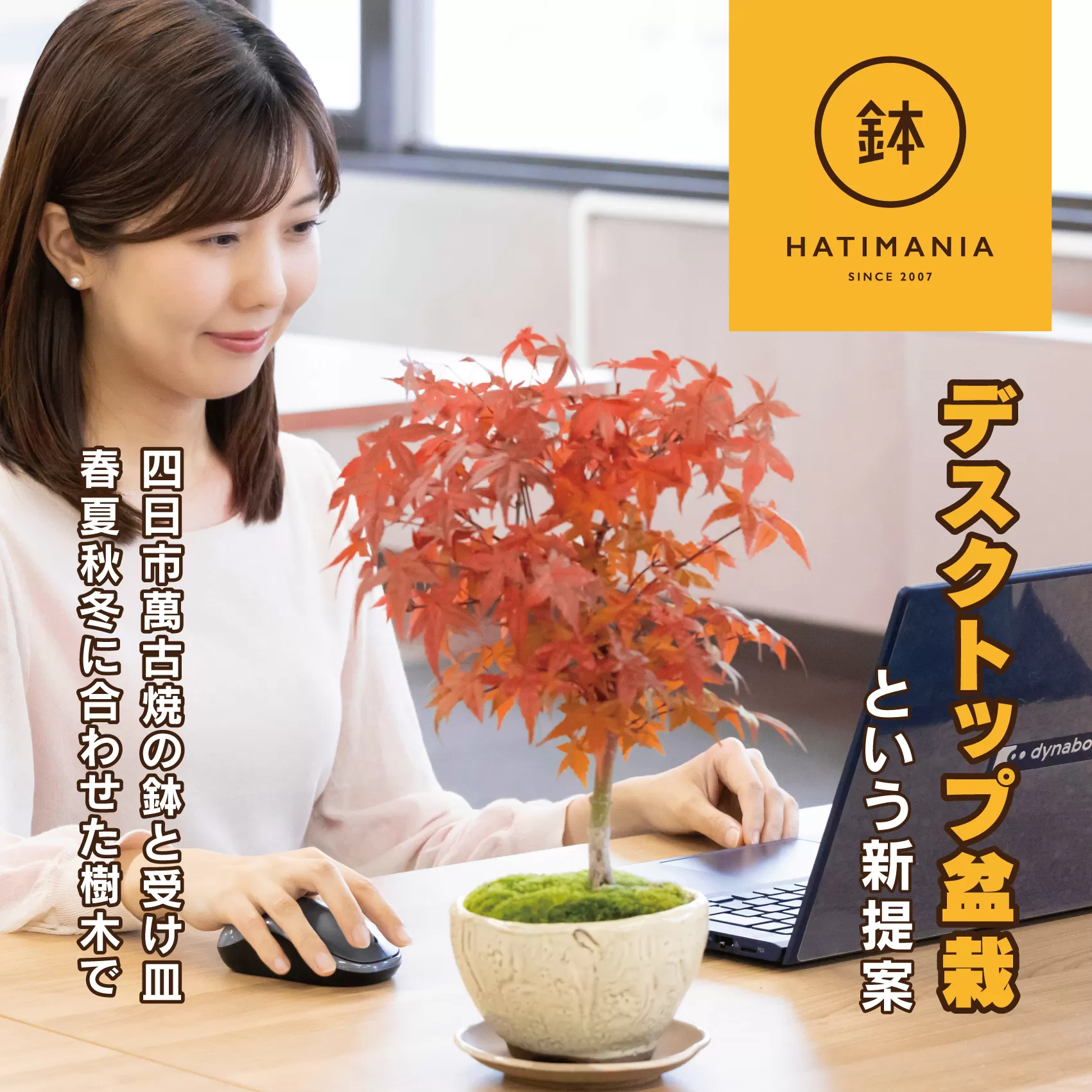 「デスクトップ盆栽」という新提案を四日市から（ミニチュアなし）