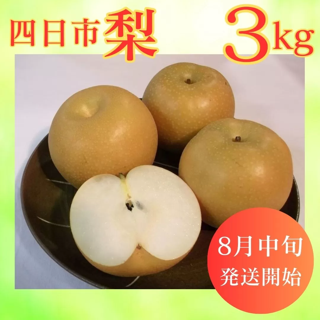 【先行予約】水谷さんが真心こめて育てた梨 3kg
