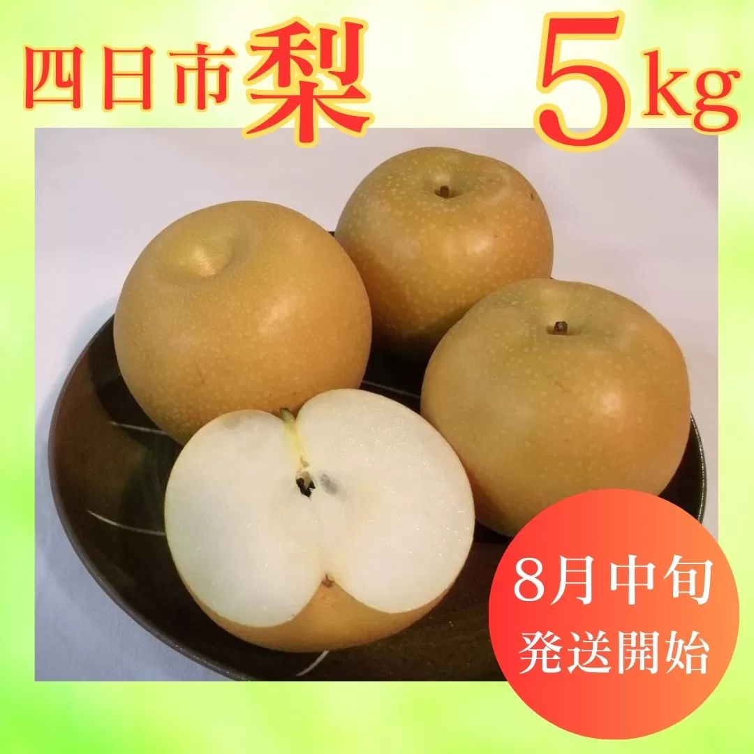 【先行予約】水谷さんが真心こめて育てた梨 5kg