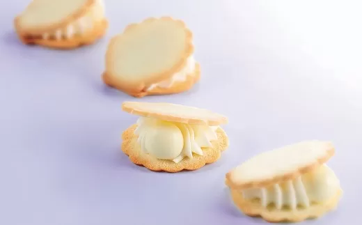 【1.2-15】華珠(HANADAMA)10個入専用箱・手提げ袋セット