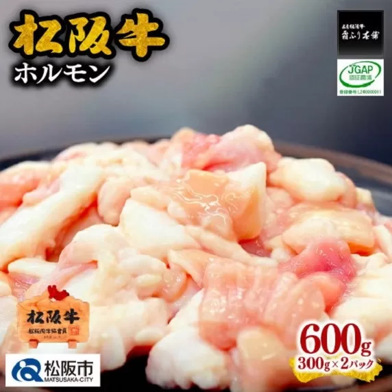 【1-239】松阪牛ホルモン