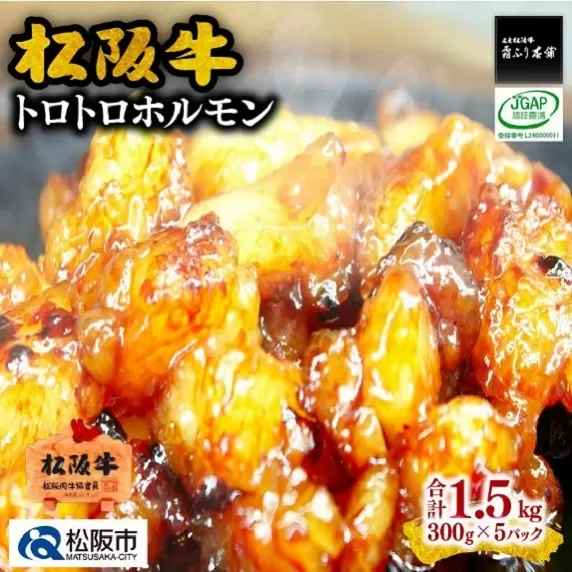 [1-238]松阪牛トロトロホルモン