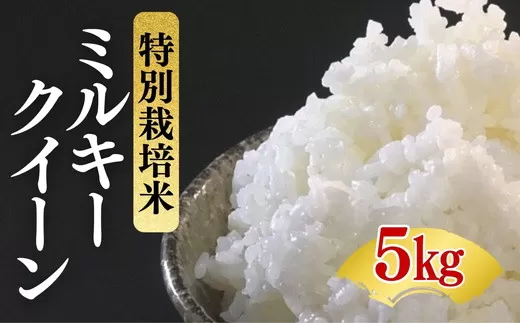 ミルキークイーン＜特別栽培米＞精米 5㎏（減農薬 有機肥料 お米 米 おこめ こめ 白米 みるきーくいーん）【002311】