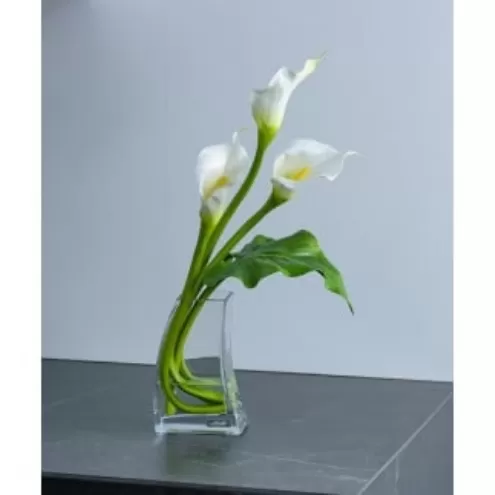 アートフラワー エミリオ・ロバ カラー2L TTNTS41200