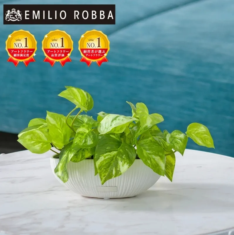 アートフラワー エミリオ・ロバ ポトスS TTTTA-04070