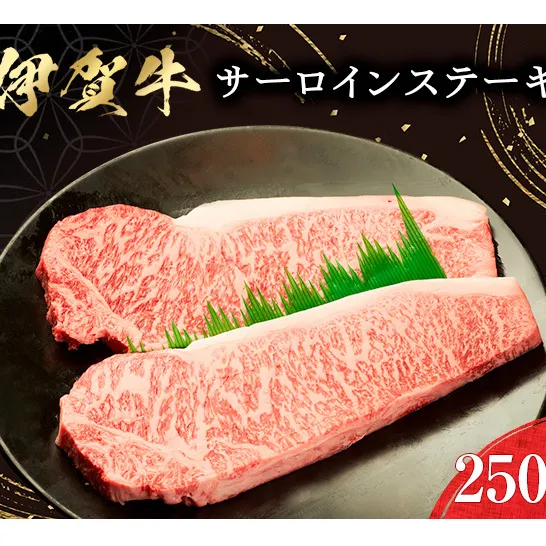 肉の横綱　伊賀牛　サーロイン　ステーキ　250g×2枚 ／ 冷凍発送　産直　自家牧場　名産牛　特産　三重県　名張市　奥田　オクダ[0527]３-は
