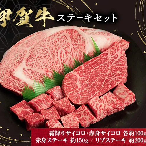 伊賀牛ステーキセット (約550g)