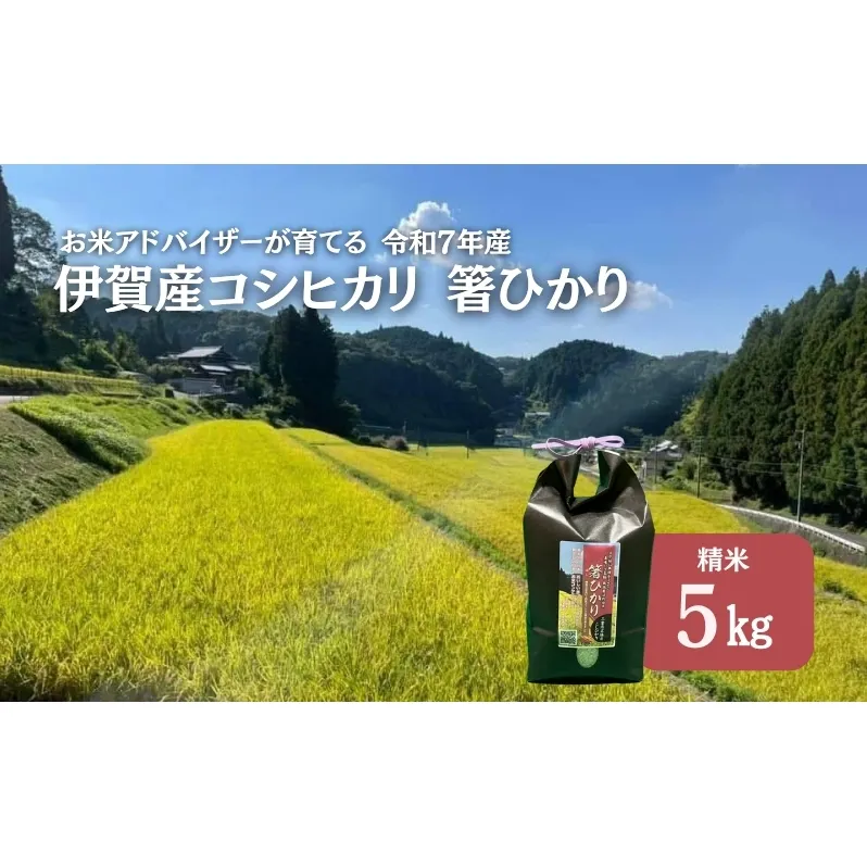 先行販売！令和7年度産　伊賀産コシヒカリ　極上　箸ひかり(精米)5kg