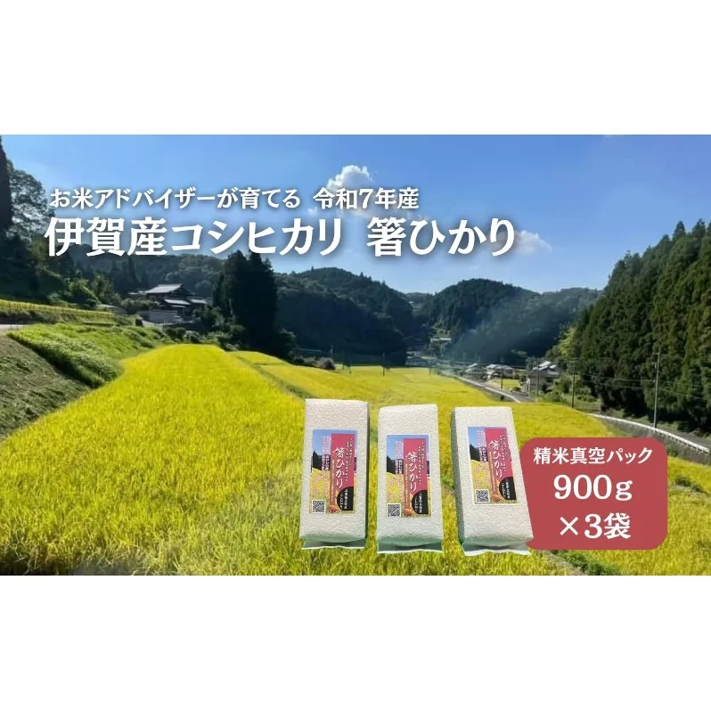 先行販売！令和7年度産　伊賀産コシヒカリ　極上　箸ひかり(精米真空パック)900ｇ×3袋
