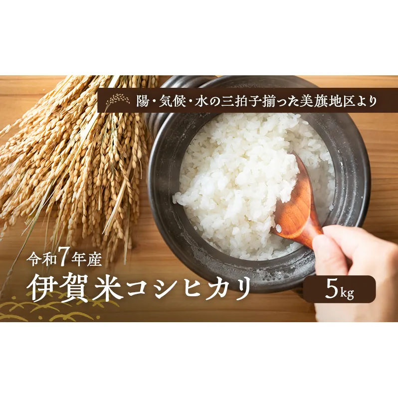 陽・気候・水の三拍子揃った美旗地区より みはたM'sファーム 令和7年産 伊賀米コシヒカリ 5kg