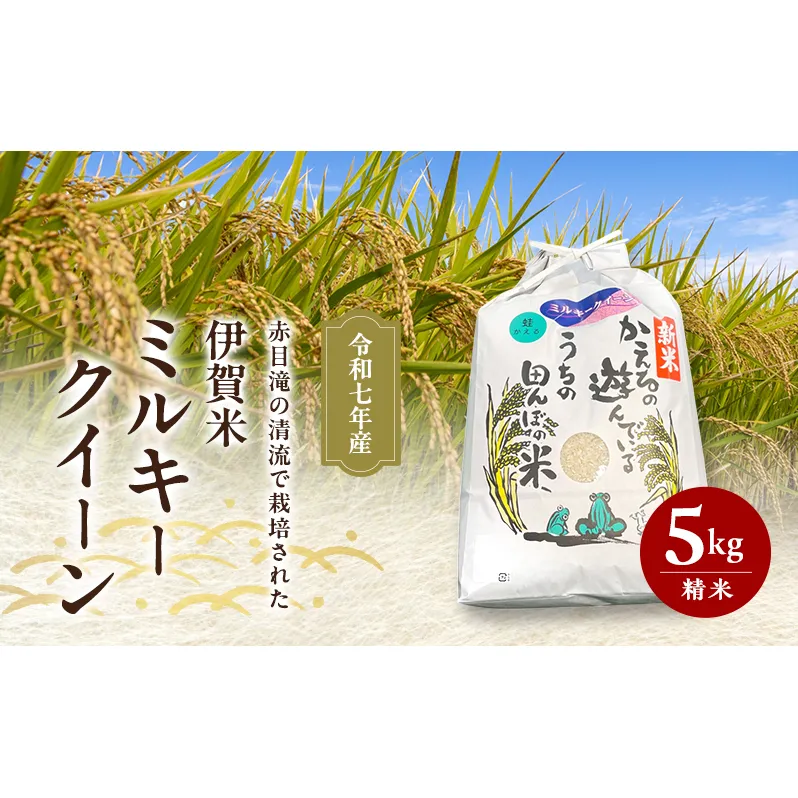 赤目滝の清流で栽培された 令和7年産 伊賀米 ミルキークイーン 5kg 精米