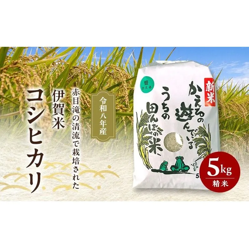 米 赤目滝の清流で栽培された 令和8年産 伊賀米コシヒカリ 5kg  三重県 名張市 赤目滝 清流 特A 白米 精米 産直 農家 ご飯 ごはん こしひかり 農家直送 産地直送 国産米 