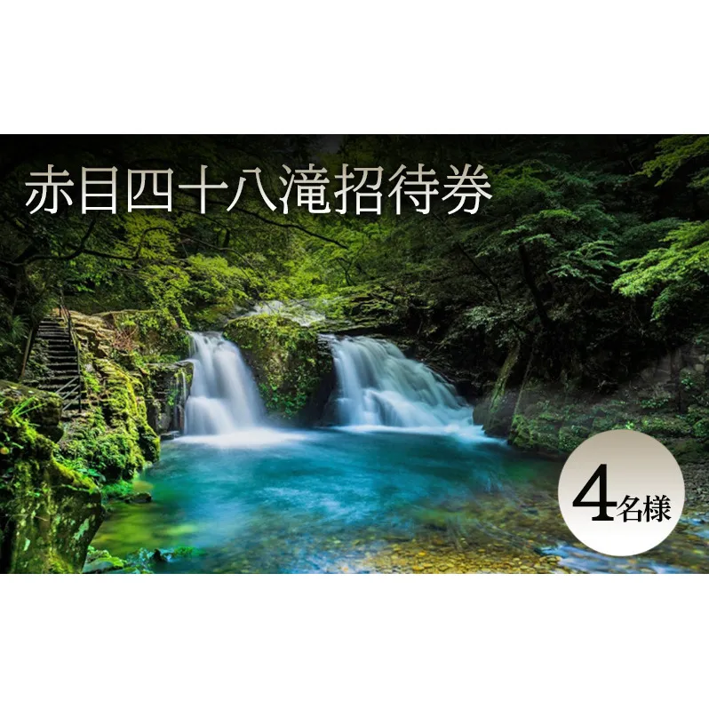 【光と水の幻想体験】赤目四十八滝招待券（4名様）| チケット 券 お出かけ 体験